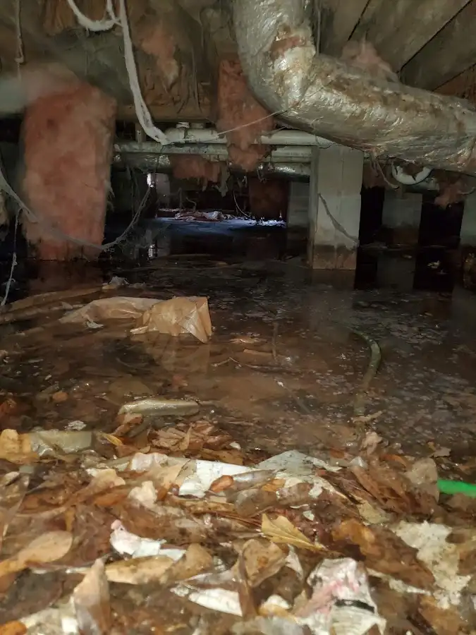 Crawl space flood assessment for Leak Detection & Repair in Kapolei